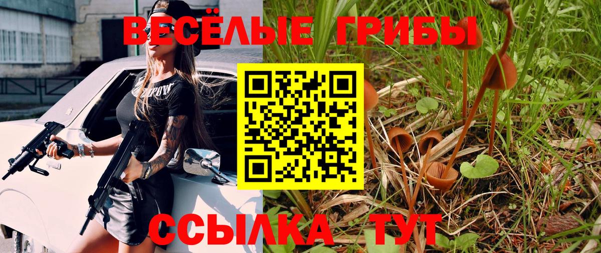 Галлюциногенные грибы GOLDEN TEACHER  Галлюциногенные грибы Magic Shrooms  Кубинка  Вход с VPN 